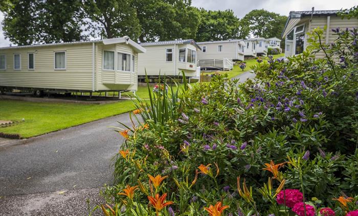 Tree Tops Caravan Park, North Wales